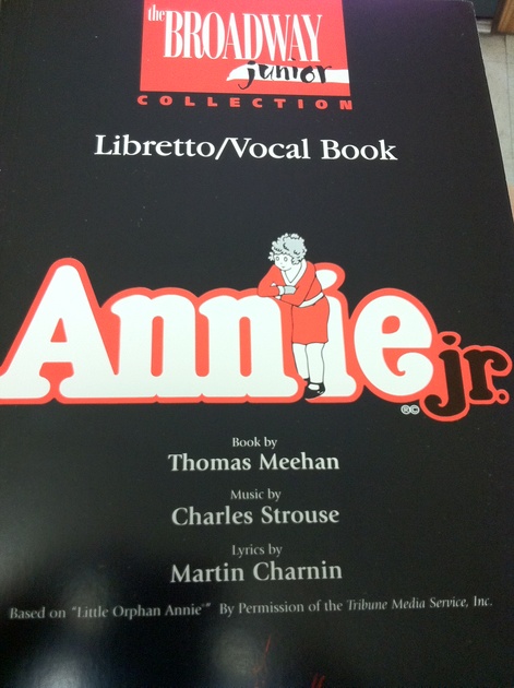 The 2012 Camp Skyline Musical Theater Production