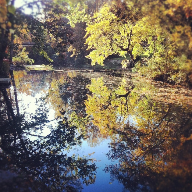 Fall photo of a summer camp.
